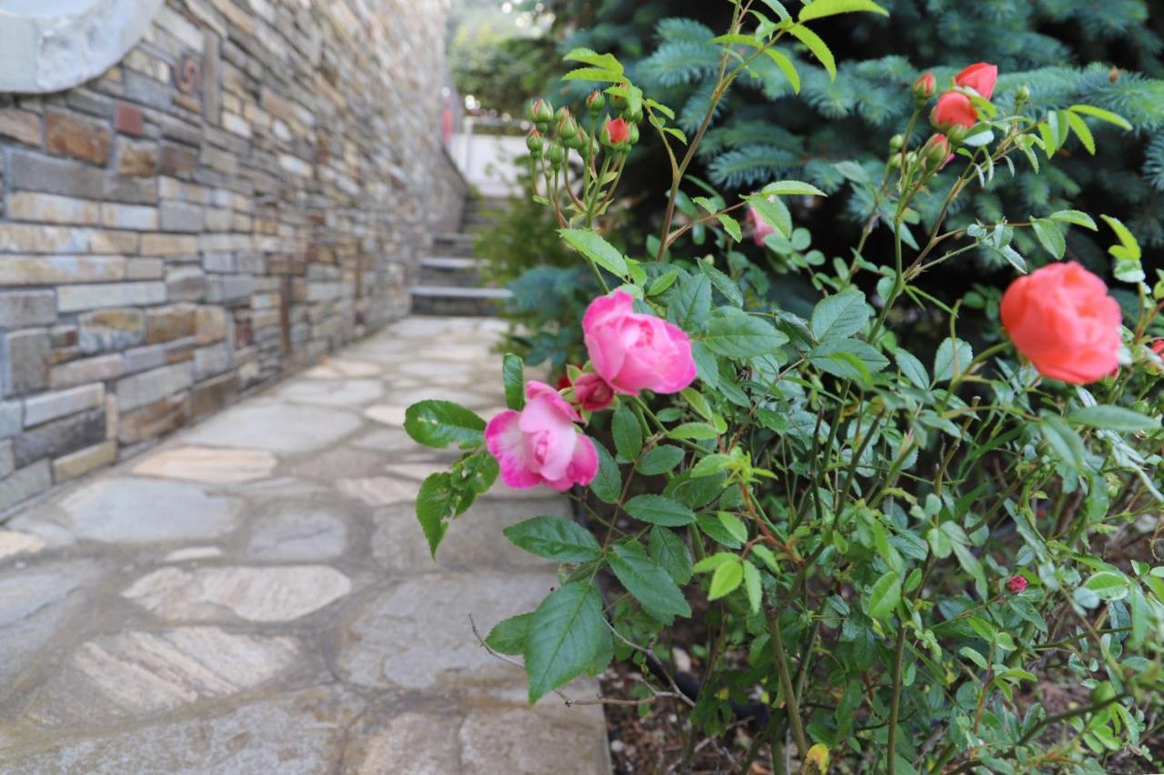 Belle Maison Villa Kavála ภายนอก รูปภาพ